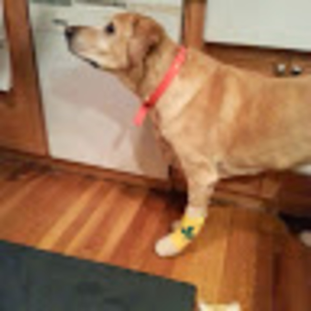 Meet your Posher, Tiffany